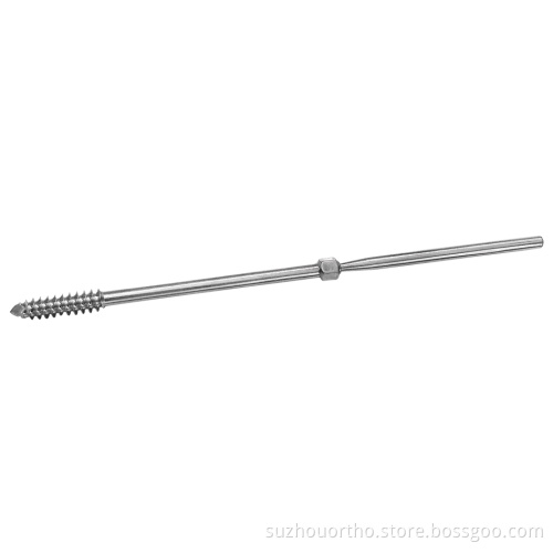 Snap off Screw